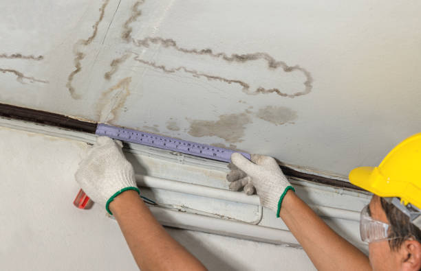 Reliable Water Damage contractor in Smithfield, WV by Water Damage Irwin